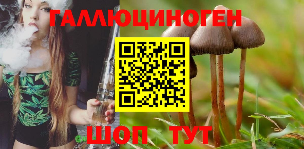 Шатура  Псилоцибиновые грибы MAGIC MUSHROOMS  Вход с VPN 